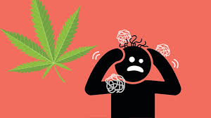 Scromiting: The Unsettling Trend Among Cannabis Users