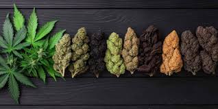 In Massachusetts, some of the top cannabis strains in 2025