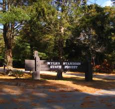 Plymouth, Massachusetts – Nestled in the heart of Plymouth County lies Myles Standish State Forest, a sprawling natural oasis that beckons outdoor enthusiasts, families, and nature lovers alike