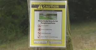Plymouth Massachusetts,Several ponds have been closed due to dangerous levels of cyanobacteria, also known as blue-green algae