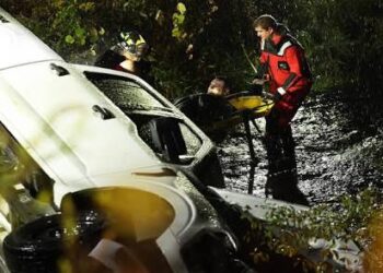 Dog and driver injured, 2nd dog dead, after truck lands in river in Plymouth County
