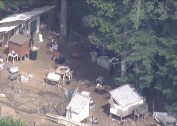Plymton Woman Charged with Animal Cruelty as Over 100 Pets Rescued in Disturbing Case