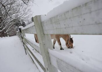 Here’s your weather news report update for Plymouth County and southeastern Massachusetts — Tuesday, December 30, 2025: