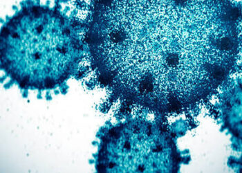 Massachusetts Faces Sharp Flu Surge This Winter