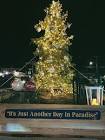 Latest confirmed info for Christmas tree lighting and holiday events near Brant Rock / Marshfield, MA for 2025: