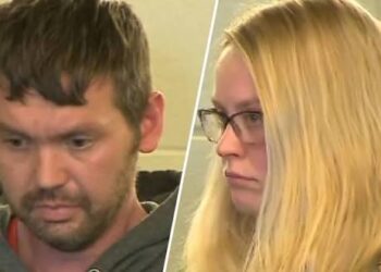 COMPREHENSIVE INVESTIGATIVE SUMMARY: PELRINE/FORAND ARRAIGNMENT