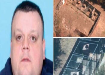 Federal Agents Arrest Carver Man in Connection to Multi-Year Dogfighting Ring