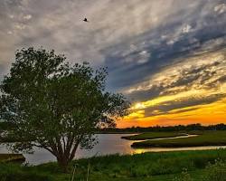 Spring Trail Refresh: Pembroke MA, Gear Up for Town-Wide Cleanup and Hike Events