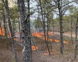 THE TOWN OF PLYMOUTH ANNOUNCES THE FIRST COMMUNITY WILD FIRE PROTECTION PLAN (CWPP)